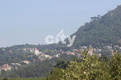 Terreno para Venda em São João das Lampas e Terrugem