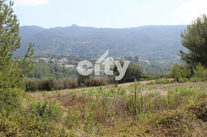 Terreno para Venda em São João das Lampas e Terrugem