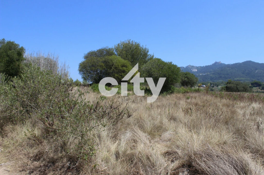 Terreno para Venda em São João das Lampas e Terrugem Foto 6