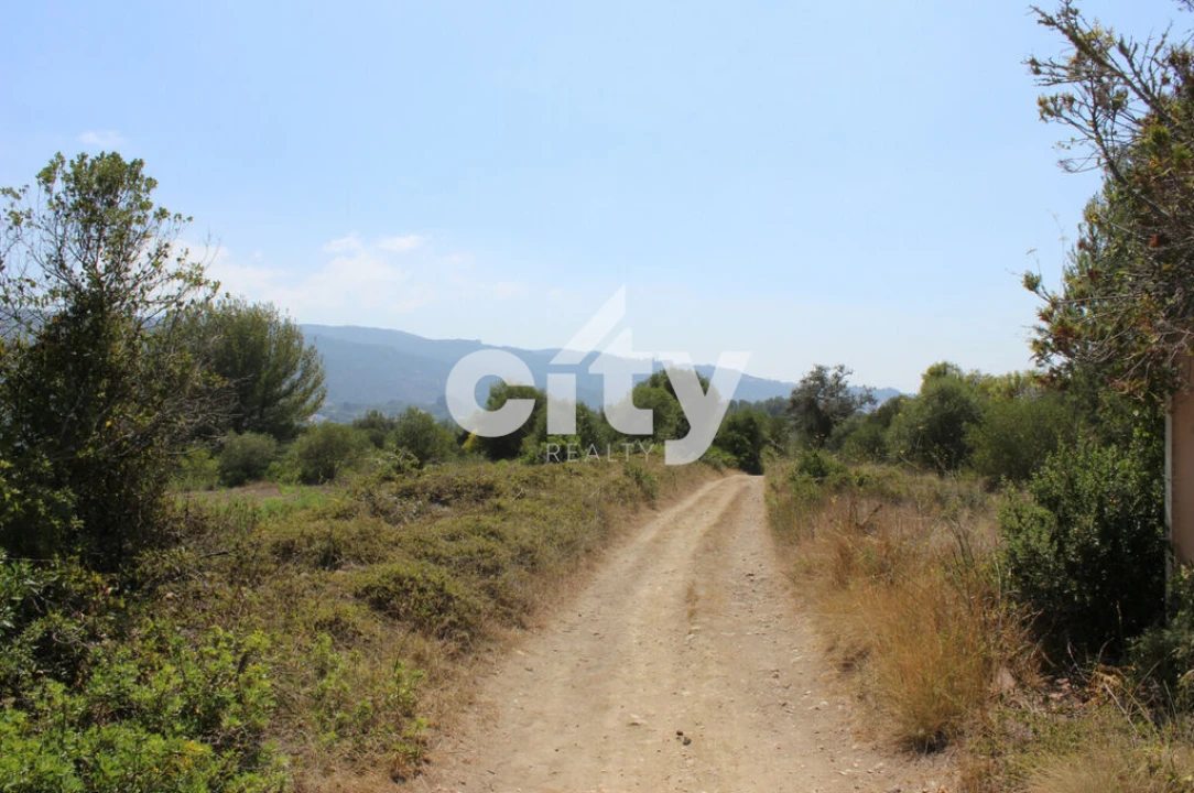 Terreno para Venda em São João das Lampas e Terrugem Foto 13