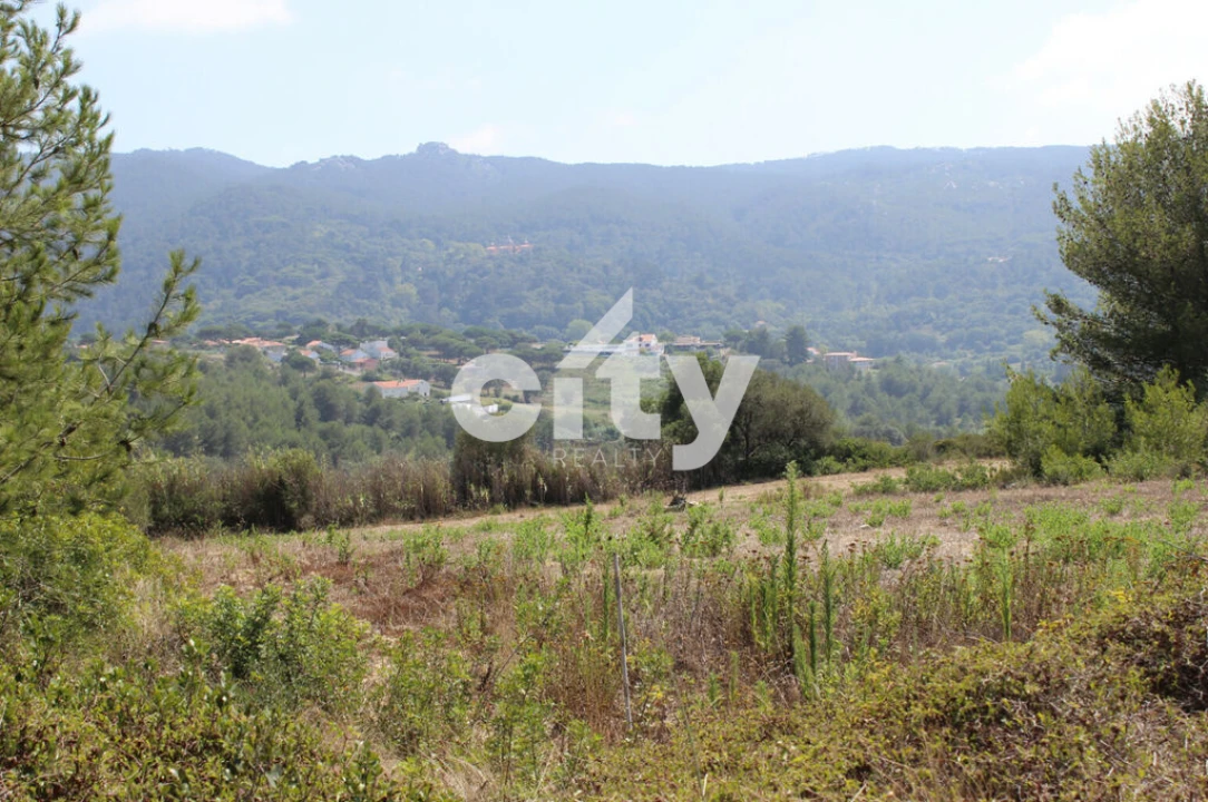 Terreno para Venda em São João das Lampas e Terrugem Foto 3