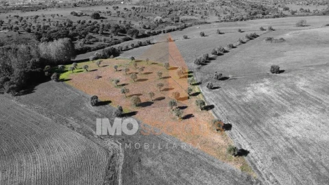 Terreno para Venda em Achete, Azoia de Baixo e Póvoa de Santarém