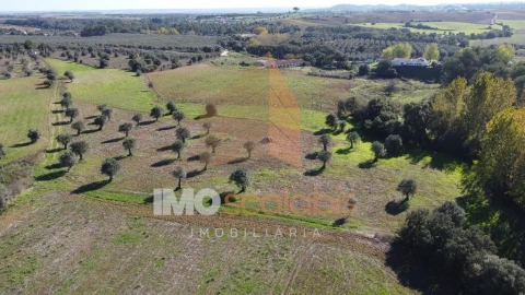 Terreno para Venda em Achete, Azoia de Baixo e Póvoa de Santarém