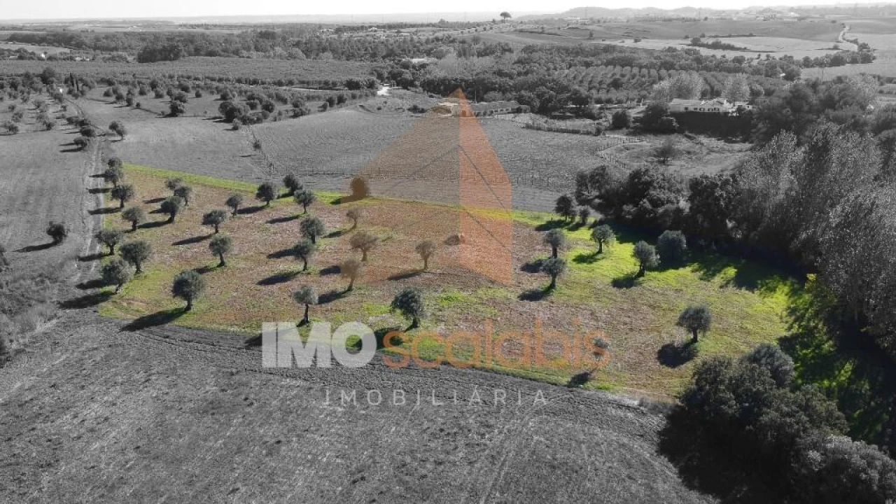 Terreno para Venda em Achete, Azoia de Baixo e Póvoa de Santarém Foto 3