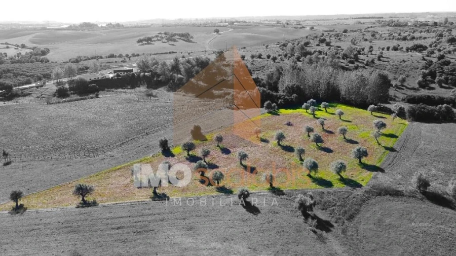 Terreno para Venda em Achete, Azoia de Baixo e Póvoa de Santarém Foto 5
