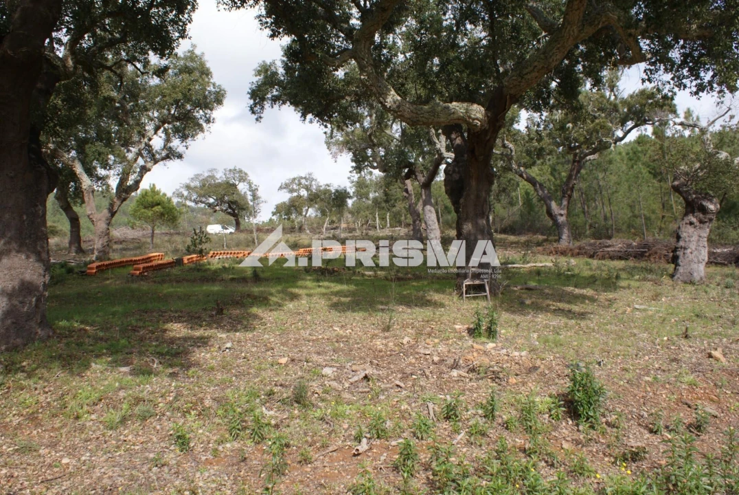 Terreno para Venda em Penha Garcia Foto 13