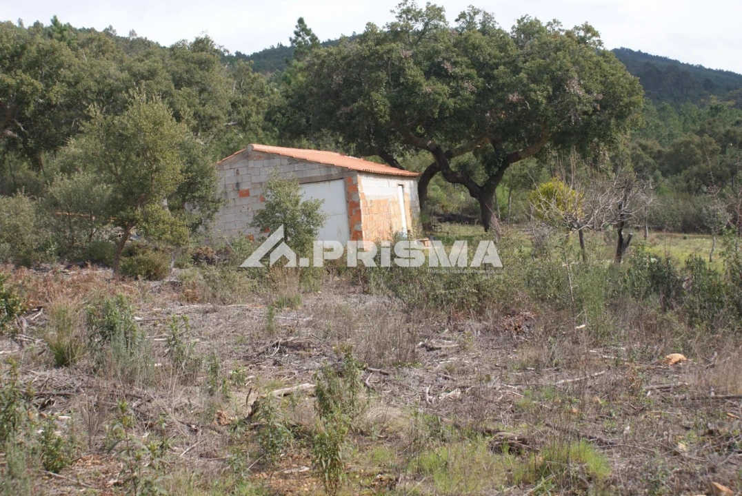 Terreno para Venda em Penha Garcia Foto 6