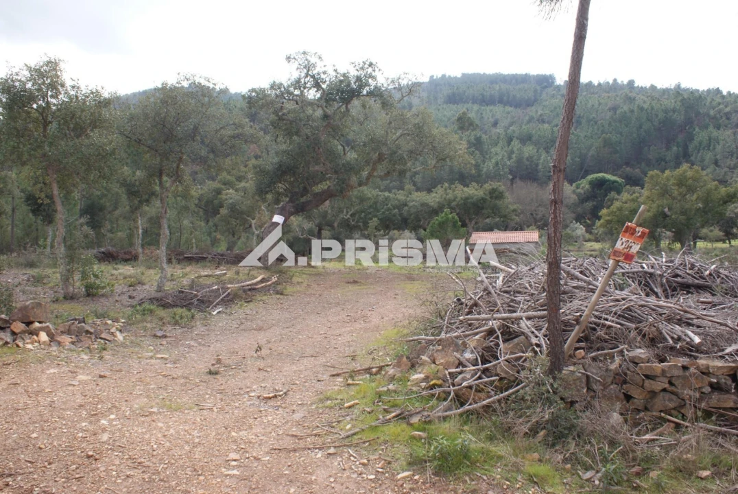 Terreno para Venda em Penha Garcia Foto 1