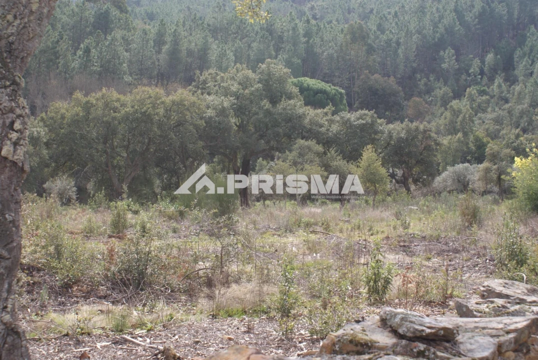 Terreno para Venda em Penha Garcia Foto 5