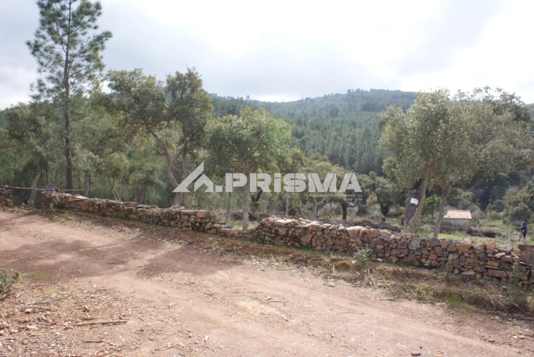 Terreno para Venda em Penha Garcia Foto 16