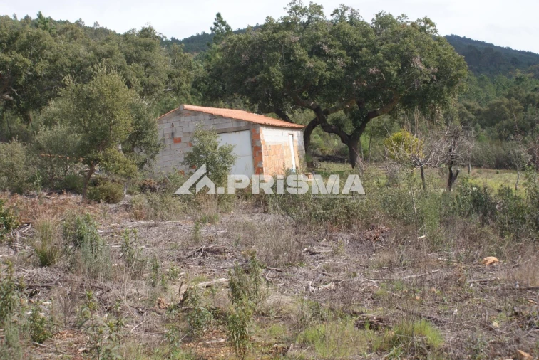 Terreno para Venda em Penha Garcia Foto 6