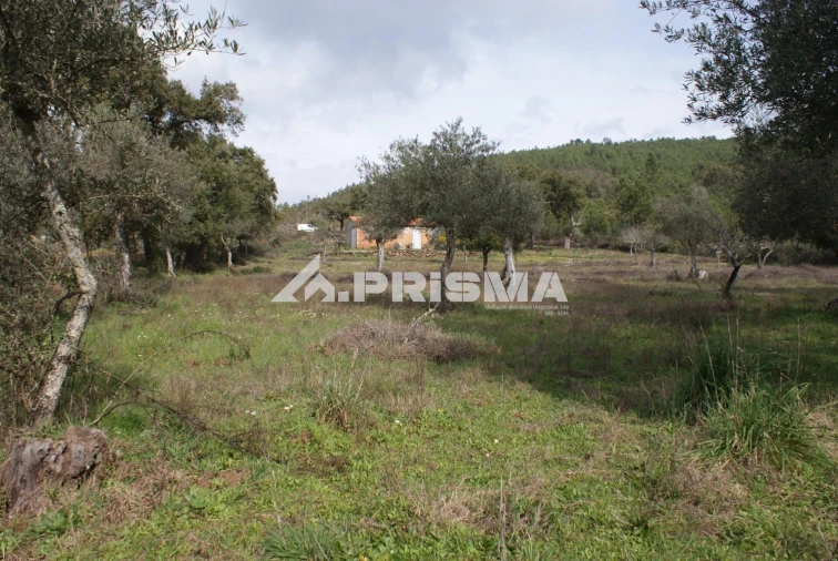 Terreno para Venda em Penha Garcia Foto 8