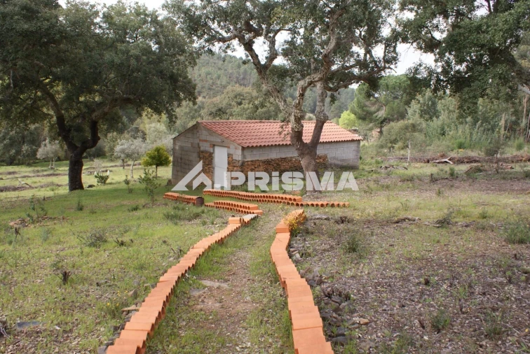 Terreno para Venda em Penha Garcia Foto 19
