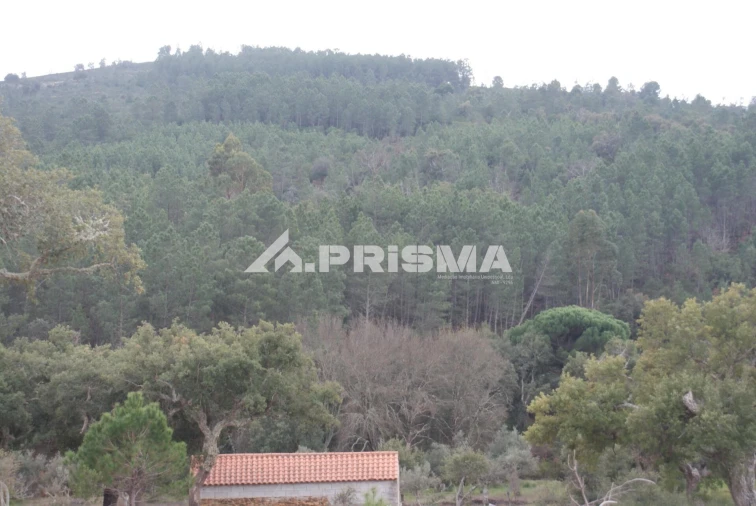 Terreno para Venda em Penha Garcia Foto 18