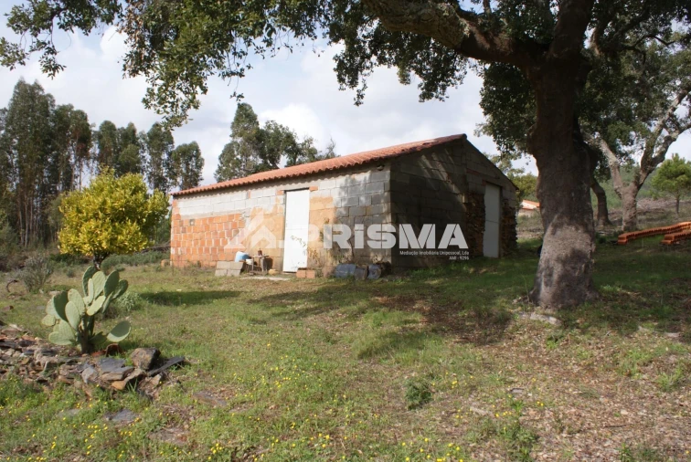 Terreno para Venda em Penha Garcia Foto 12