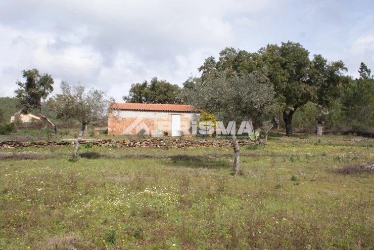 Terreno para Venda em Penha Garcia Foto 11