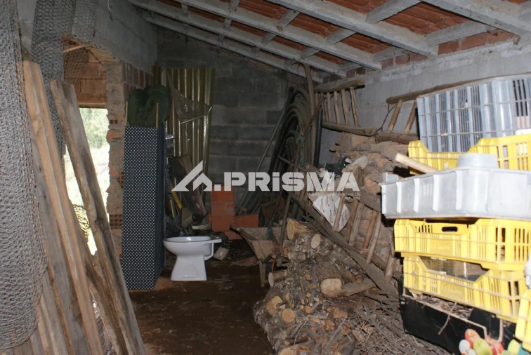Terreno para Venda em Penha Garcia Foto 25