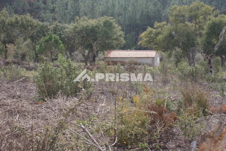 Terreno para Venda em Penha Garcia Foto 3