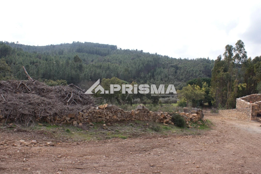Terreno para Venda em Penha Garcia Foto 2
