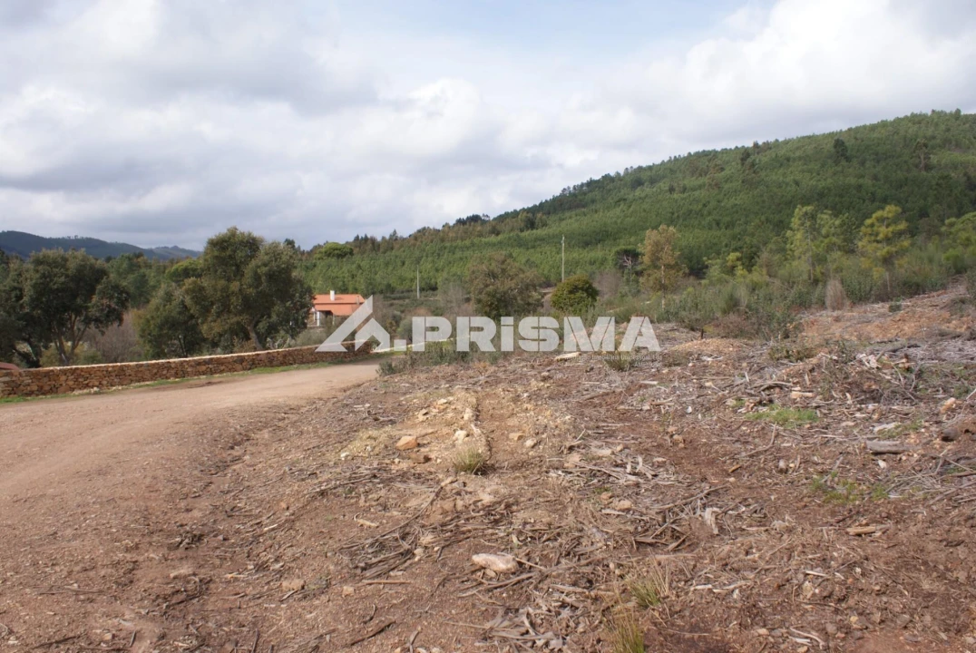 Terreno para Venda em Penha Garcia Foto 17