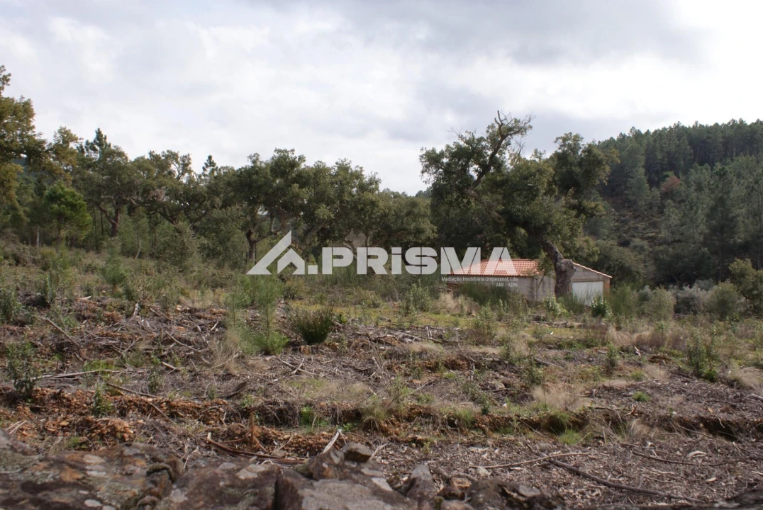 Terreno para Venda em Penha Garcia Foto 4
