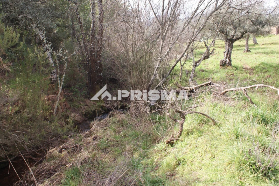 Terreno para Venda em Penha Garcia Foto 9