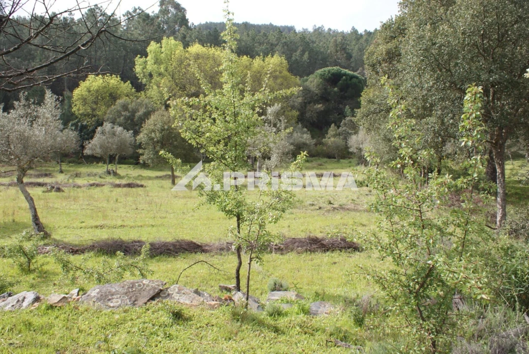 Terreno para Venda em Penha Garcia Foto 22