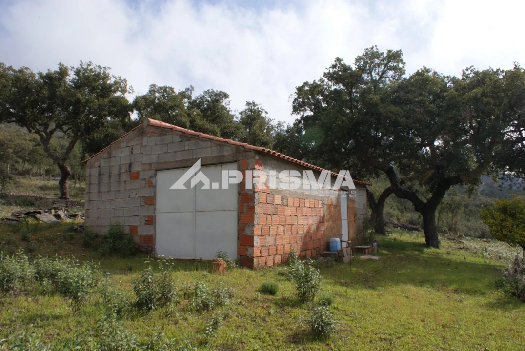 Terreno para Venda em Penha Garcia Foto 20