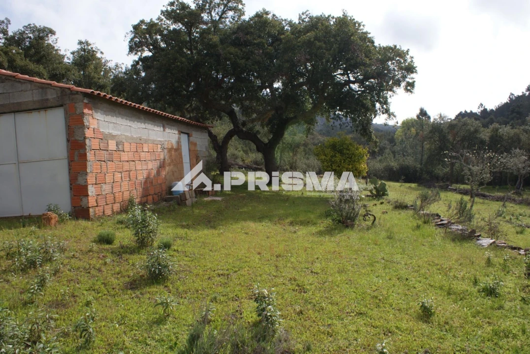 Terreno para Venda em Penha Garcia Foto 21