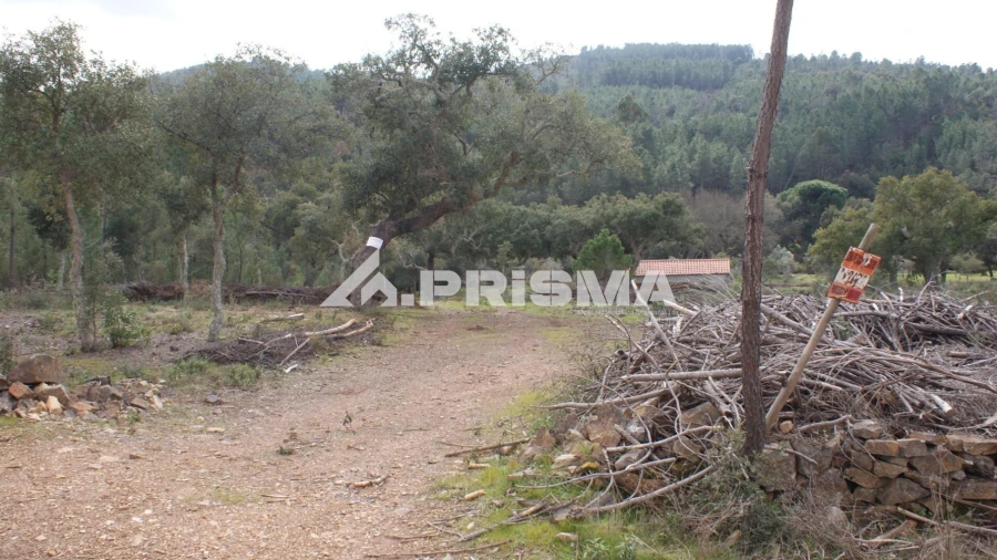 Terreno para Venda em Penha Garcia