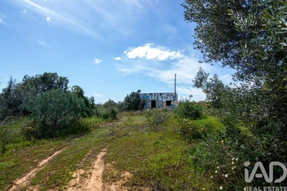 Terreno para Venda em Almancil