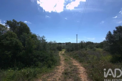 Terreno para Venda em Almancil