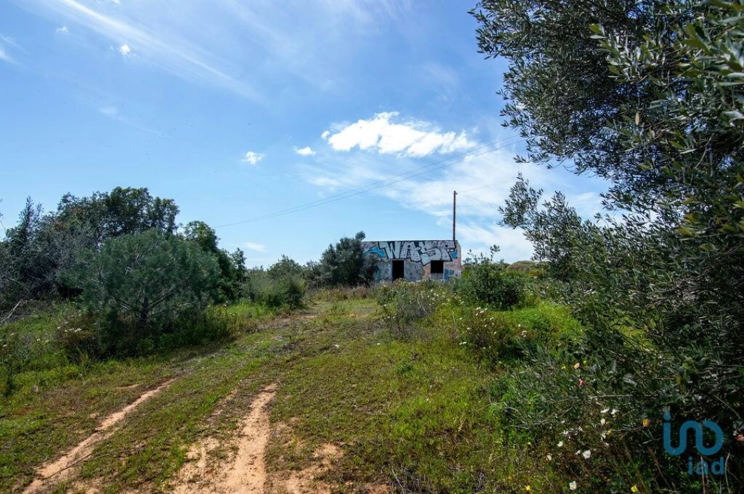 Terreno para Venda em Almancil Foto 1