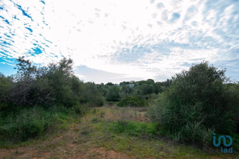 Terreno para Venda em Almancil Foto 4