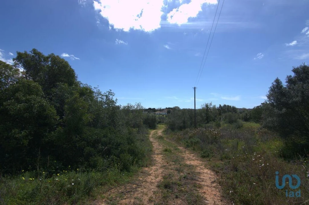 Terreno para Venda em Almancil Foto 2