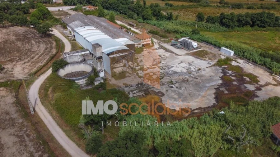 Armazém para Venda em Ulme Foto 5