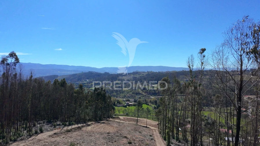 Terreno para Venda em Vila Cova da Lixa e Borba de Godim Foto 4