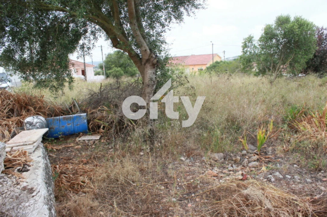 Terreno para Venda em Almargem do Bispo, Pêro Pinheiro e Montelavar Foto 10