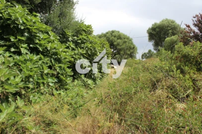 Terreno para Venda em Almargem do Bispo, Pêro Pinheiro e Montelavar