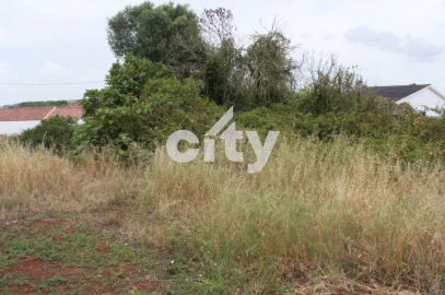 Terreno para Venda em Almargem do Bispo, Pêro Pinheiro e Montelavar
