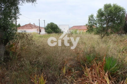 Terreno para Venda em Almargem do Bispo, Pêro Pinheiro e Montelavar