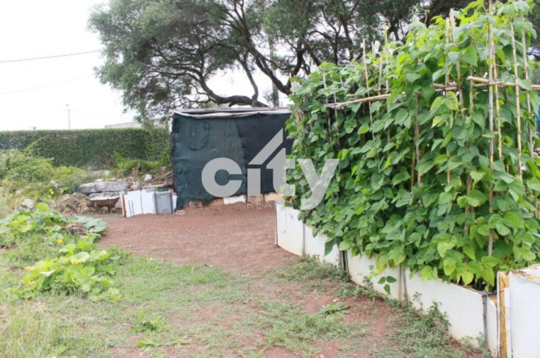 Terreno para Venda em Almargem do Bispo, Pêro Pinheiro e Montelavar Foto 8
