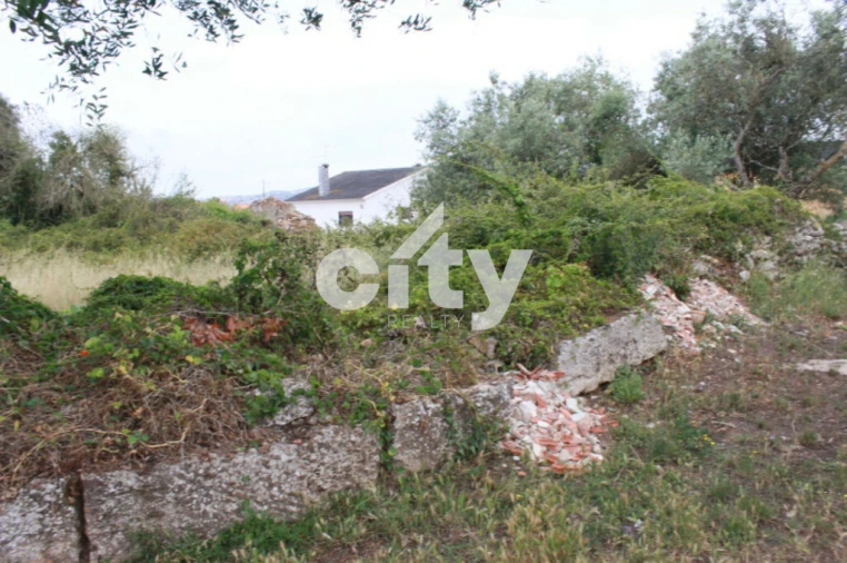 Terreno para Venda em Almargem do Bispo, Pêro Pinheiro e Montelavar Foto 25