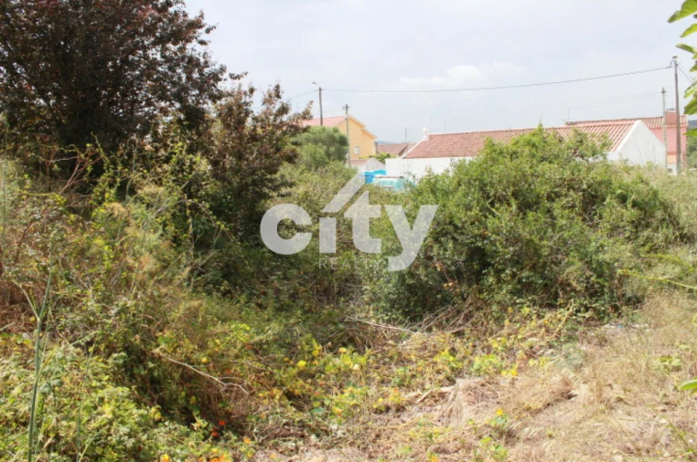 Terreno para Venda em Almargem do Bispo, Pêro Pinheiro e Montelavar Foto 14