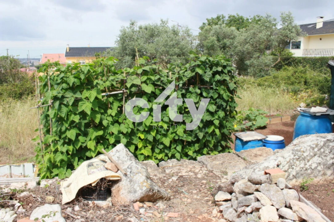 Terreno para Venda em Almargem do Bispo, Pêro Pinheiro e Montelavar Foto 12