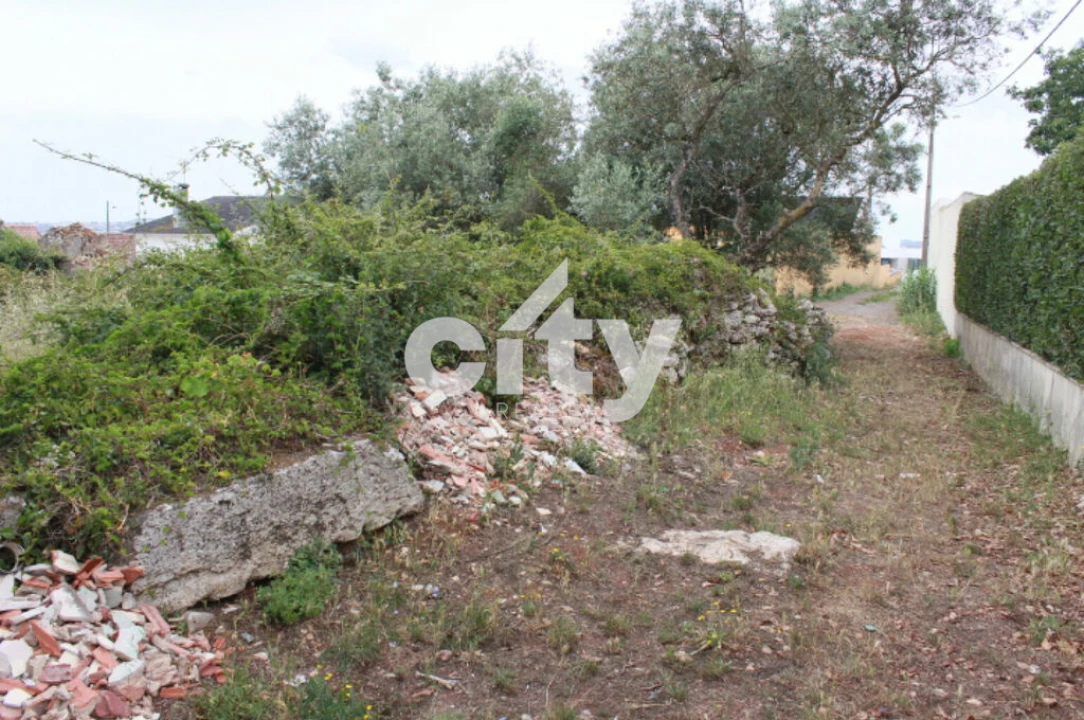 Terreno para Venda em Almargem do Bispo, Pêro Pinheiro e Montelavar Foto 23
