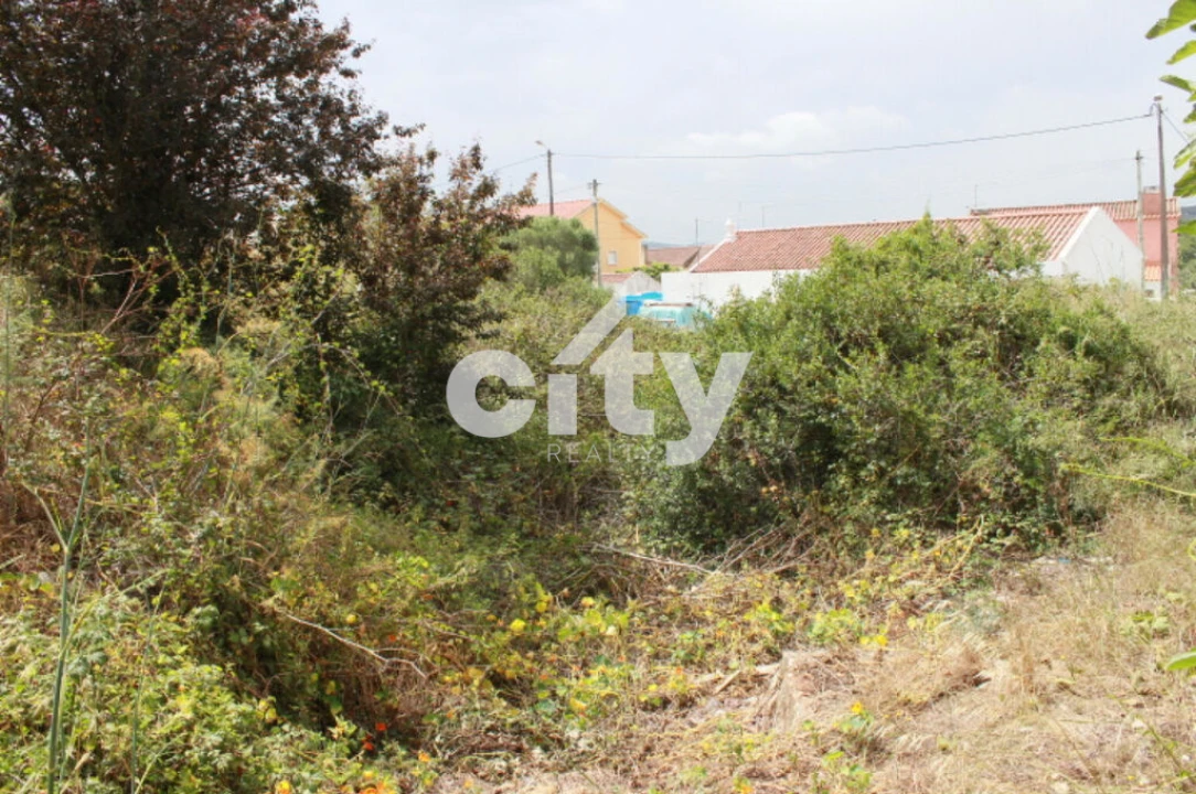 Terreno para Venda em Almargem do Bispo, Pêro Pinheiro e Montelavar Foto 14