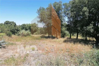 Terreno para Venda em Vale de Santarem