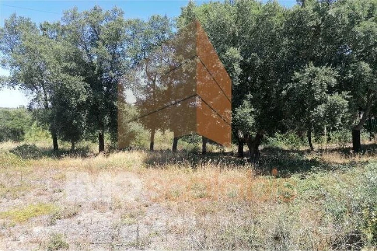 Terreno para Venda em Vale de Santarem Foto 3