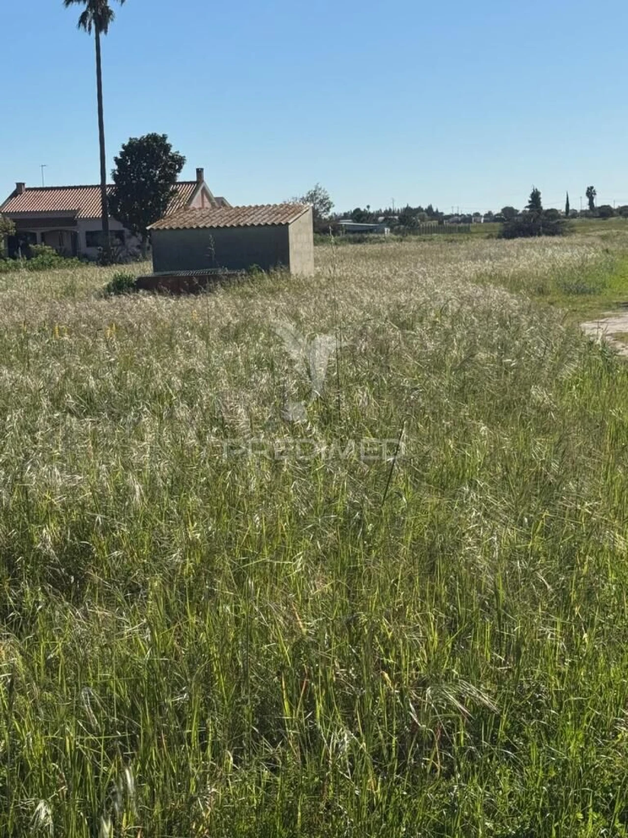 Terreno para Venda em Gambia-Pontes-Alto da Guerra Foto 6